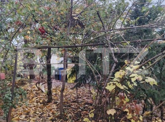 Casa de vânzare 4 camere Central - 182139CV | BLITZ Craiova | Poza8