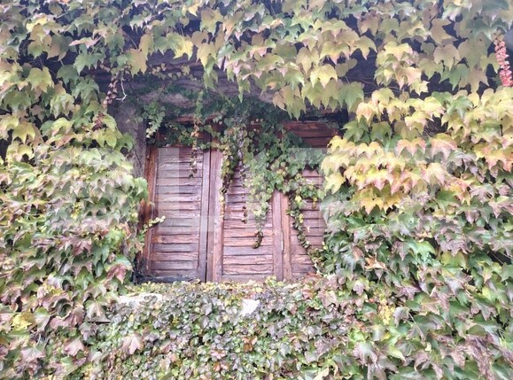 Casa de vânzare 4 camere Central - 182139CV | BLITZ Craiova | Poza1