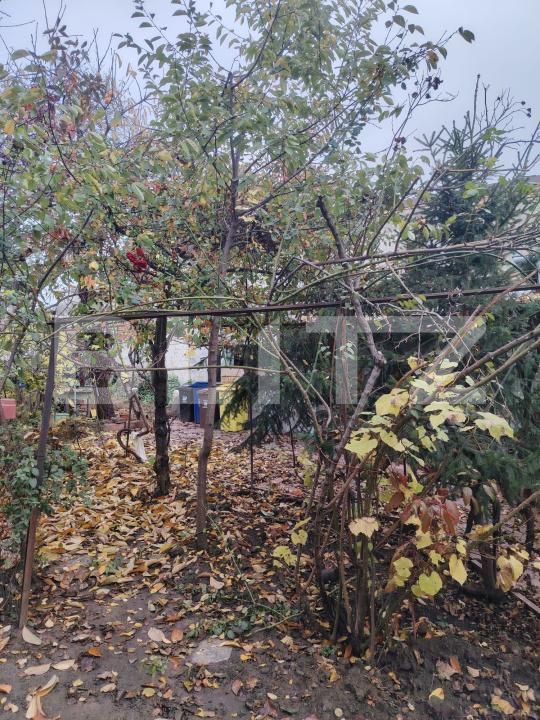 Casa de vânzare 4 camere Central - 182139CV | BLITZ Craiova | Poza9