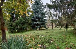 Casă de vacanță, teren 1000 mp, pârâu la limita proprietății,  Bratovoești 