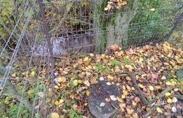 Casa de vacanta, teren 1000 mp, com Bratovoesti