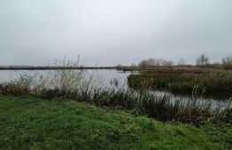 Casa de vacanta, teren 1000 mp, com Bratovoesti