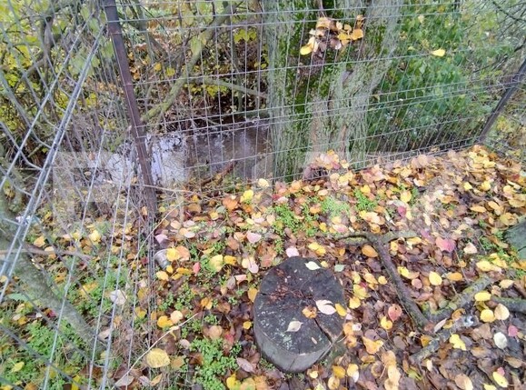 Casa de vânzare 3 camere Exterior Sud - 182154CV | BLITZ Craiova | Poza17