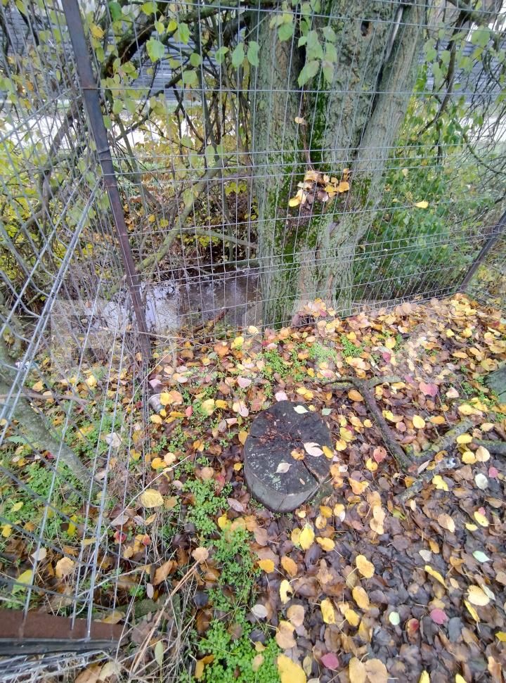 Casa de vânzare 3 camere Exterior Sud - 182154CV | BLITZ Craiova | Poza17