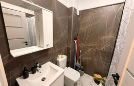 Apartament cu 2 camere, prima inchiriere, bloc nou, zona Brazda lui Novac