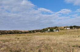 Teren intravilan 2100 mp, deschidere 16 m, Filiasi