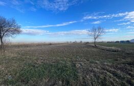 Teren 7500 mp intravilan, industrial/comercial, stradal in Cosoveni 