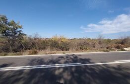 Teren intravilan, 700 mp, zona Cârcea, in spate la Profi