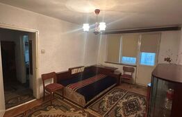 Apartament de inchiriat, 45 mp, zona Brazda lui Novac