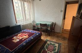 Apartament de inchiriat, 45 mp, zona Brazda lui Novac