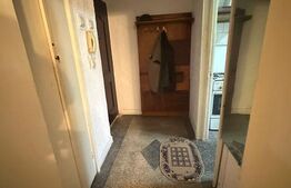 Apartament de inchiriat, 45 mp, zona Brazda lui Novac