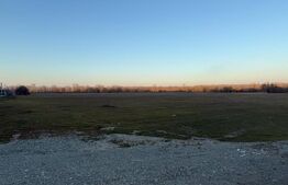 Teren intravilan industrial, 4307 mp, Podari