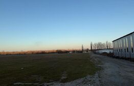 Teren intravilan industrial, 4307 mp, Podari