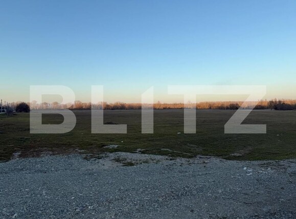 Teren de vânzare Podari - 182508TV | BLITZ Craiova | Poza2