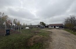 Teren intravilan agricol, sere, anexa agricola, 11500 mp teren, Sopot