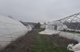 Teren intravilan agricol, sere, anexa agricola, 11500 mp teren, Sopot