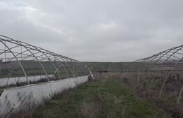 Teren intravilan agricol, sere, anexa agricola, 11500 mp teren, Sopot