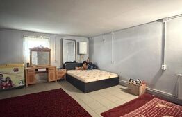 Teren intravilan agricol, sere, anexa agricola, 11500 mp teren, Sopot