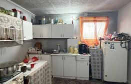 Teren intravilan agricol, sere, anexa agricola, 11500 mp teren, Sopot