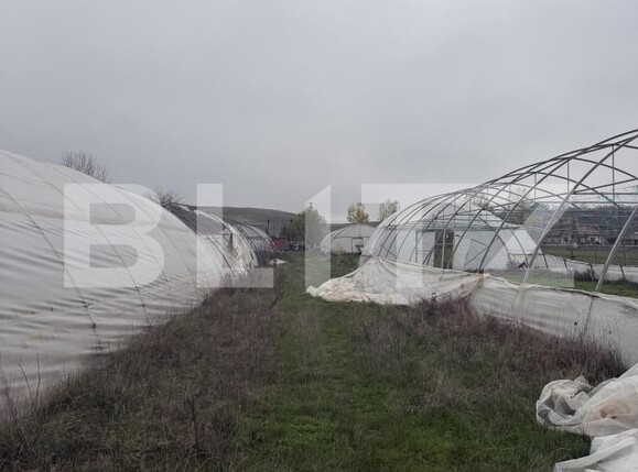 Teren de vânzare Exterior Vest - 182600TV | BLITZ Craiova | Poza3