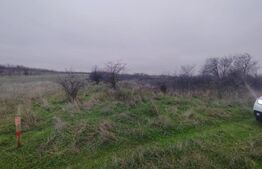 Teren extravilan Carcea - 2500 mp