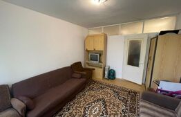 Camera de camin, 24 mp, zona Valea Rosie - Independentei 