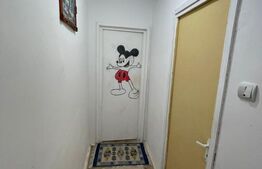 Apartament 3 camere, 52.50 mp, zona Cornitoiu 