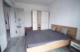 Studio de vanzare, 41 mp, zona Damila