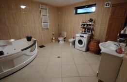 Vila Craiova P+1+M, 317 mp utili și curte de 980 mp, Craiovita