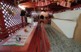 Vila Craiova P+1+M, 317 mp utili și curte de 980 mp