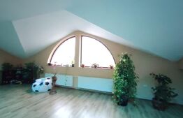 Vila Craiova P+1+M, 317 mp utili și curte de 980 mp, Craiovita