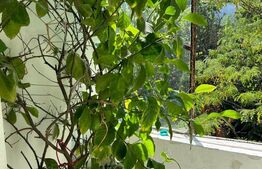  Apartament 3 camere, 67 mp, zona Simplon