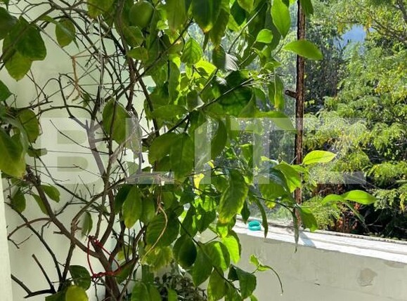 Apartament de vânzare 3 camere Brazda lui Novac - 182834AV | BLITZ Craiova | Poza4