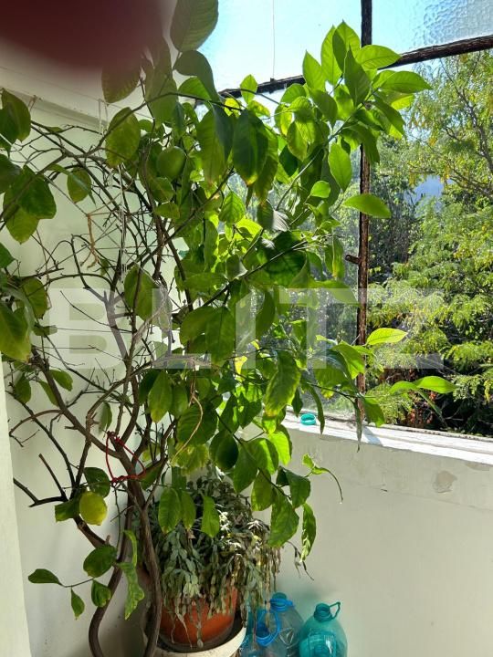 Apartament de vânzare 3 camere Brazda lui Novac - 182834AV | BLITZ Craiova | Poza4