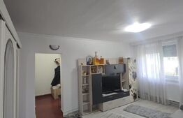 Apartament 2 camere, 46.41 mp, zona Brazda lui Novac