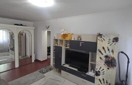Apartament 2 camere, 46.41 mp, zona Brazda lui Novac