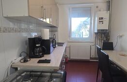 Apartament 2 camere, 46.41 mp, zona Brazda lui Novac