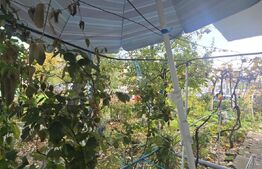 Apartament 2 camere, 46.41 mp, zona Brazda lui Novac