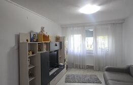Apartament 2 camere, 46.41 mp, zona Brazda lui Novac