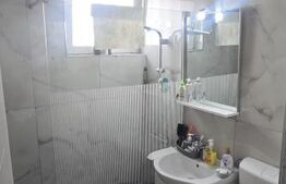 Apartament 2 camere, 46.41 mp, zona Brazda lui Novac