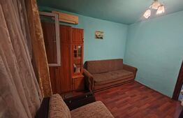 Camera de camin  - 21 mp  - Valea Rosie