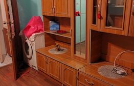 Camera de camin  - 21 mp  - Valea Rosie