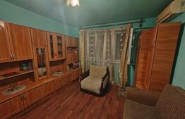 Camera de camin  - 21 mp  - Valea Rosie