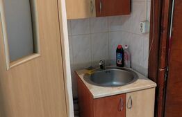 Camera de camin  - 21 mp  - Valea Rosie