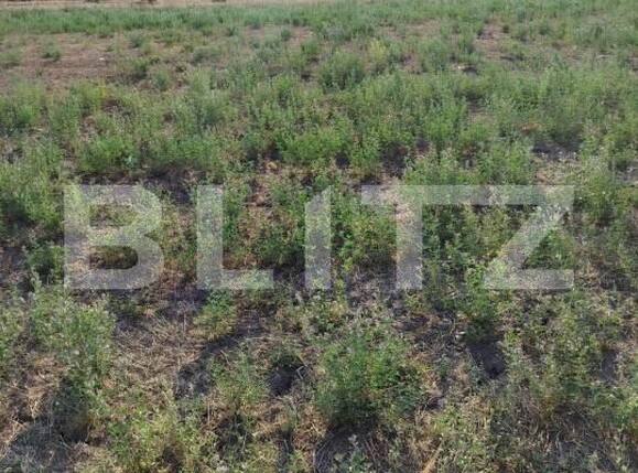 Teren de vânzare Nord - 182975TV | BLITZ Craiova | Poza1