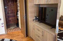 Garsoniera semidecomandata, 24 mp, zona Lapus