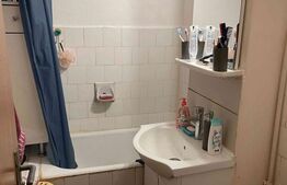 Garsoniera semidecomandata, 24 mp, zona Lapus