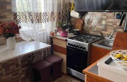 Garsoniera semidecomandata, 24 mp, zona Lapus