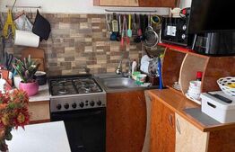 Garsoniera semidecomandata, 24 mp, zona Lapus