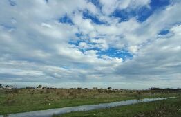 Teren de vânzare Valea Rosie - 186918TV | BLITZ Craiova | Poza3